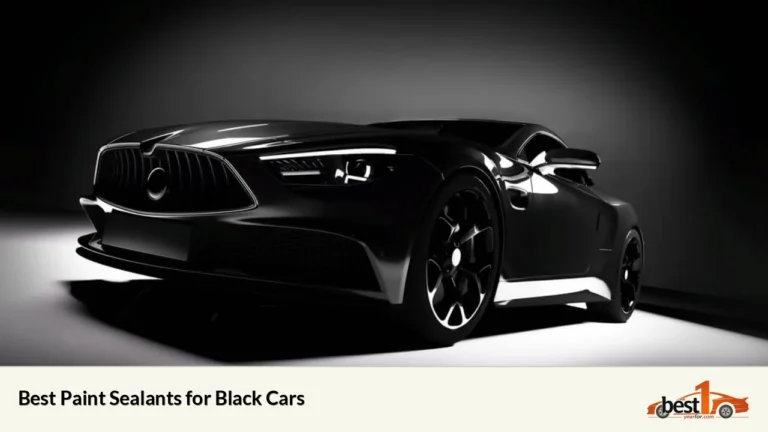 Best Paint Sealants for Black Cars